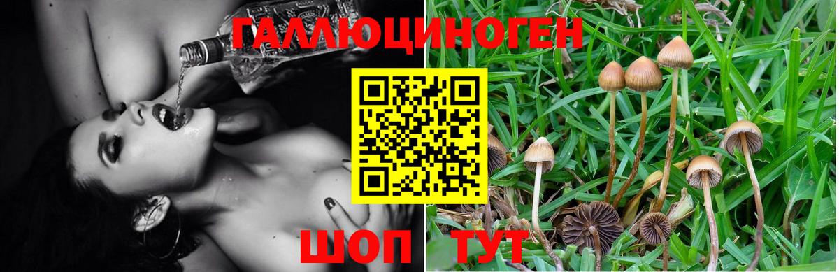 Галлюциногенные грибы ЛСД  Вход с VPN  Псилоцибиновые грибы Psilocybe  Искитим 